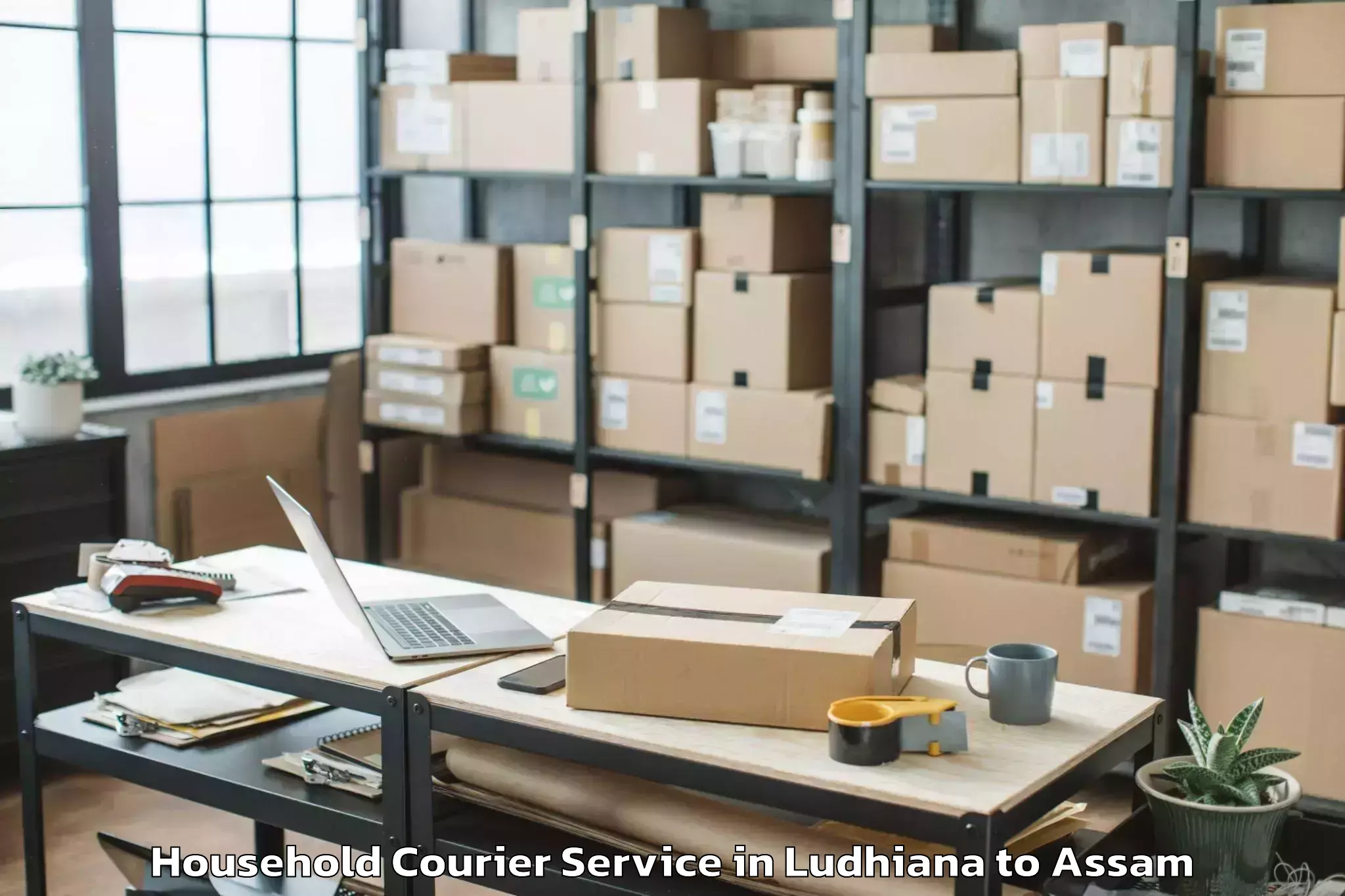 Quality Ludhiana to Jamugurihat Household Courier